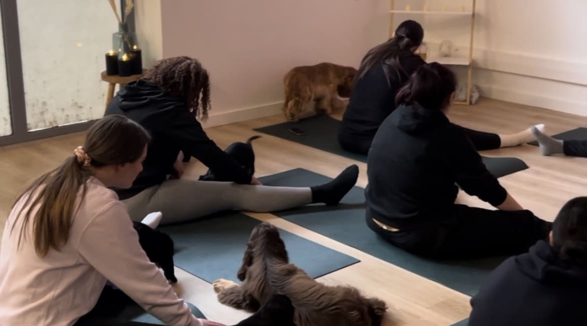 Photo des étudiantes en train de faire du yoga